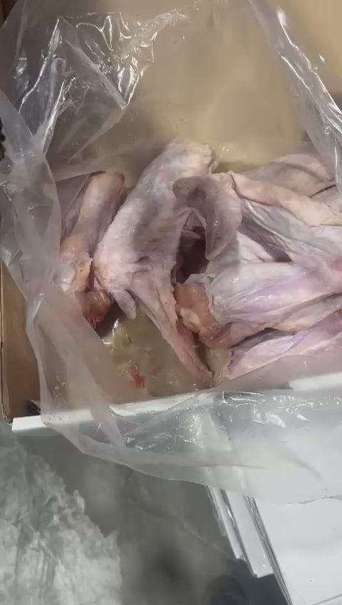 Ailes de dinde/ 5 kg