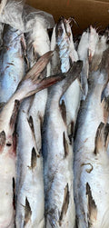Poisson machoiron/carton de 20 kg