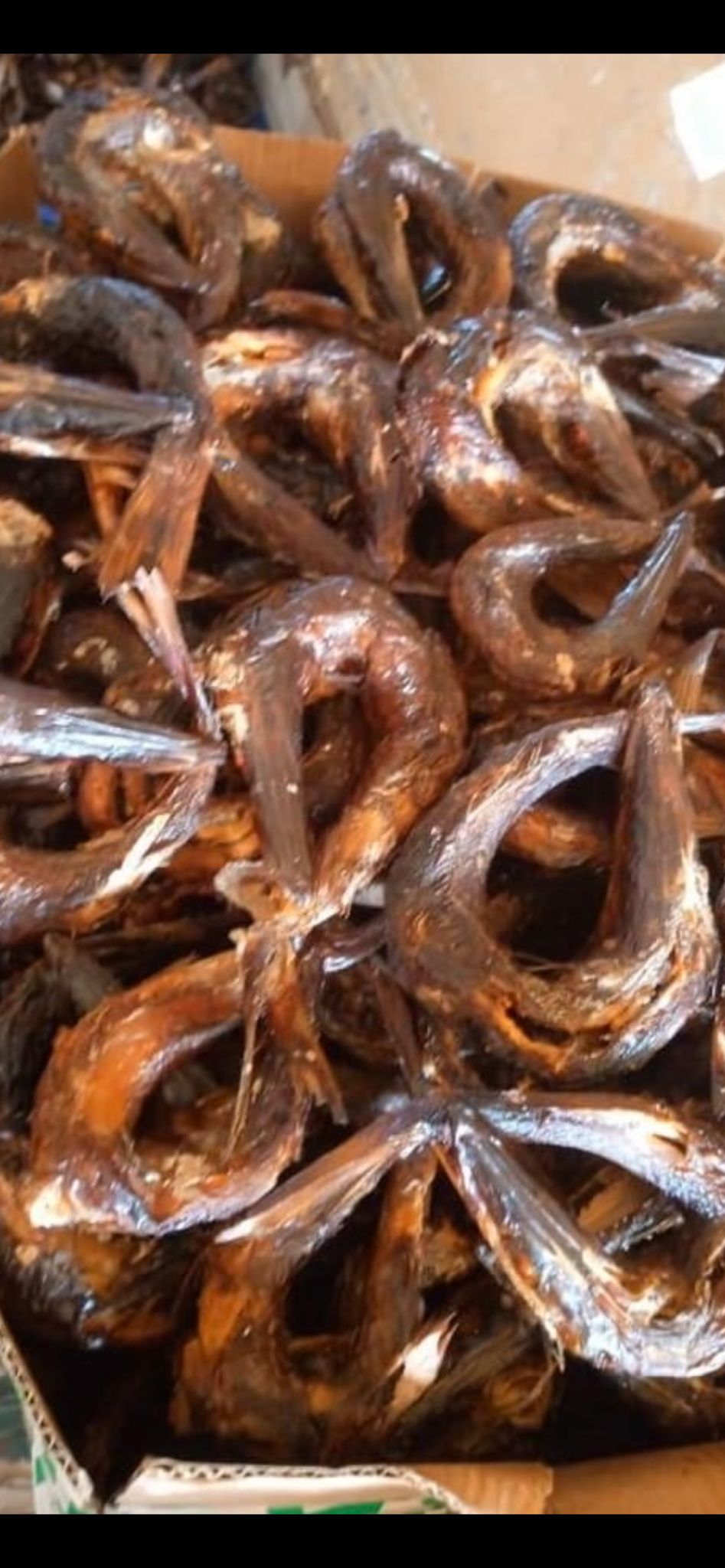 Poisson fumé , Brochet fumé