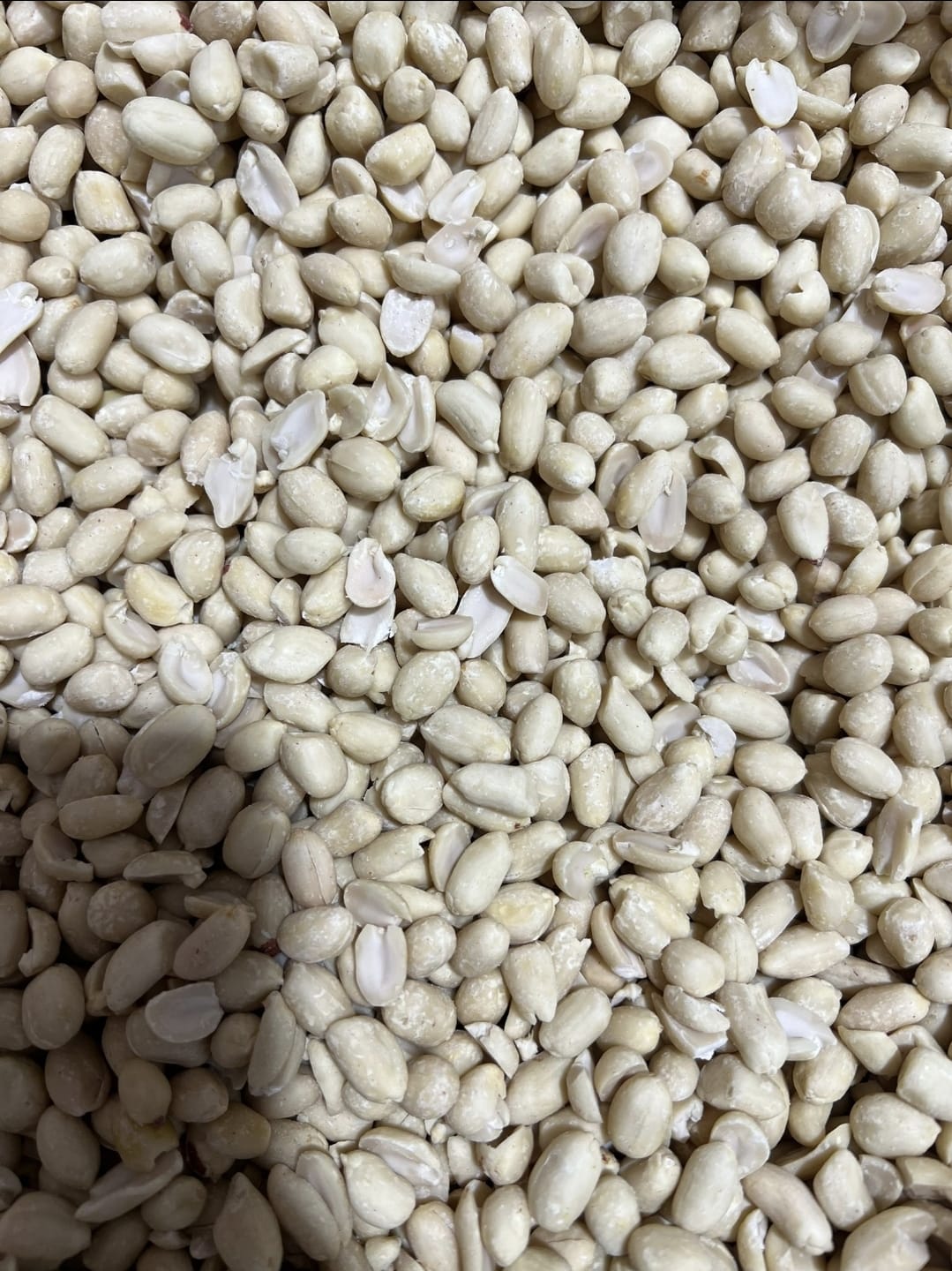 Arrachides blanc / 5 paquets