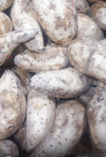 Patate douce du Cameroun/ Carton de 10kg