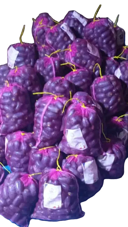 Prunes, Safou/ filet de 5kg