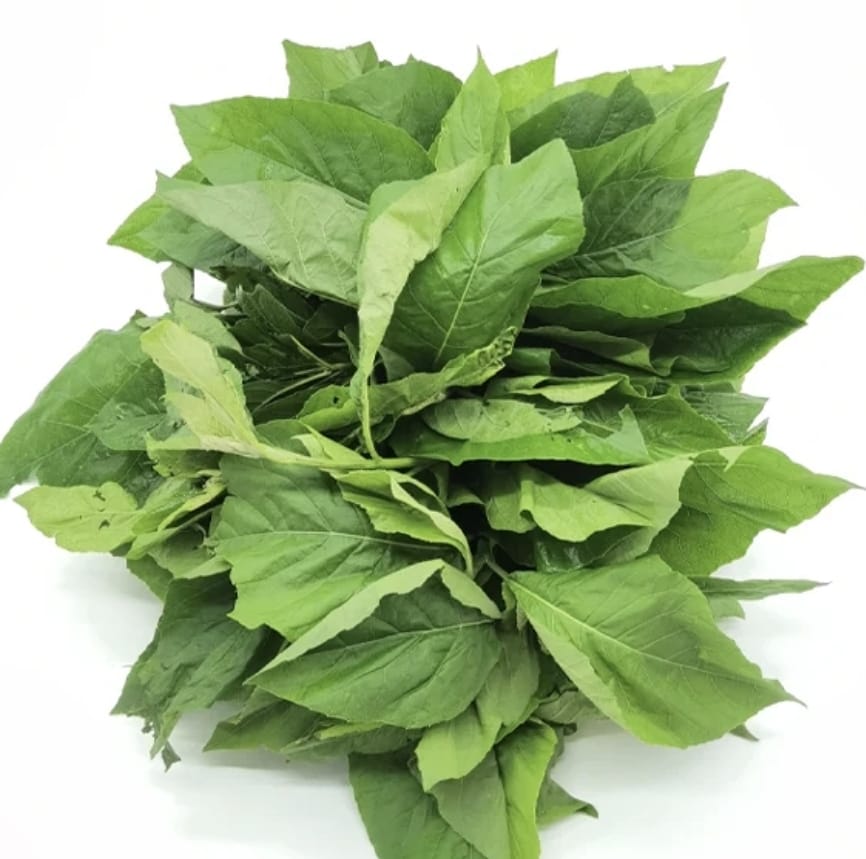Ndolè, bitter leaves/ 5 paquets de 500g
