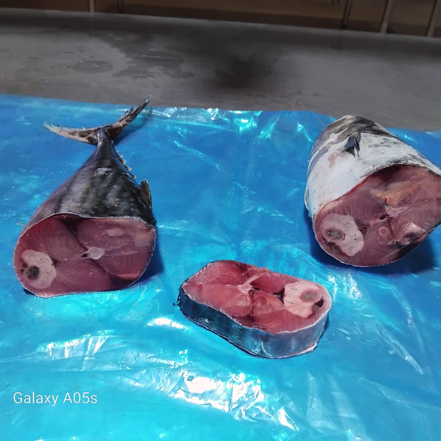 Poisson thon ivoirien découpé/carton de 20 kg