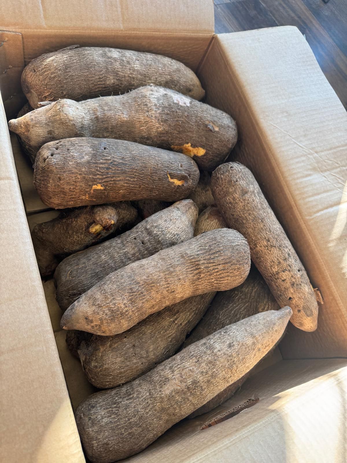Igname blanc kponang du ghana/ carton de 20kg
