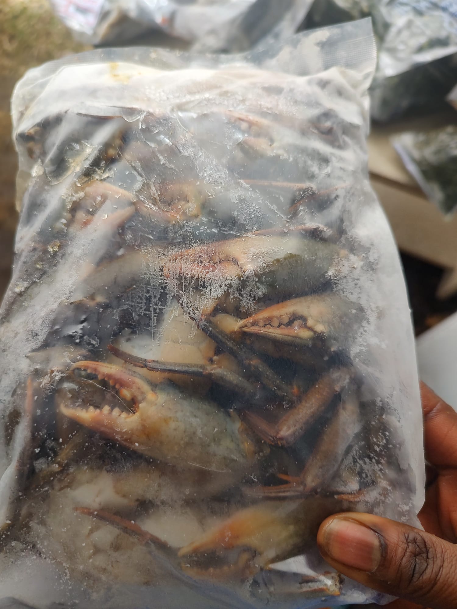 Crabe/carton de 9 kg