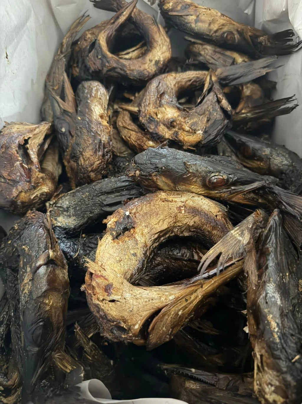 Brochet fumé