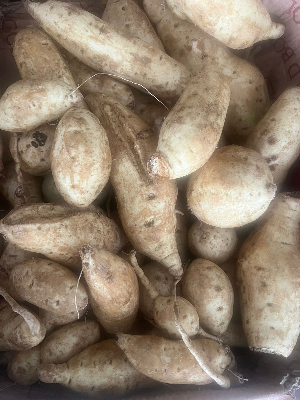 Patate douce du Cameroun/ Carton de 10kg