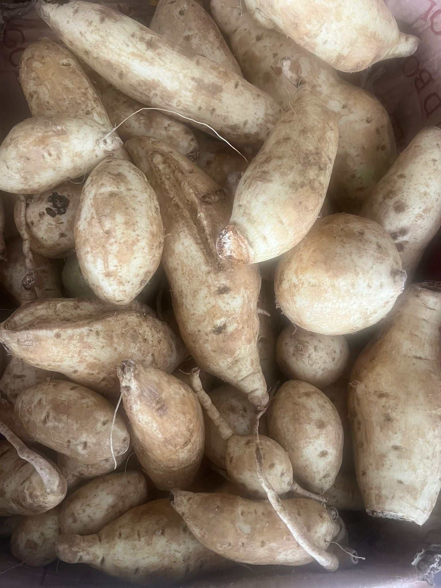 Patate douce du Cameroun/ Carton de 10kg