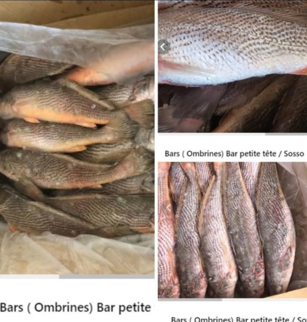 Bars sosso/petite tête/carton de 10kg