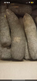 Igname blanc kponang du ghana/ carton de 20kg