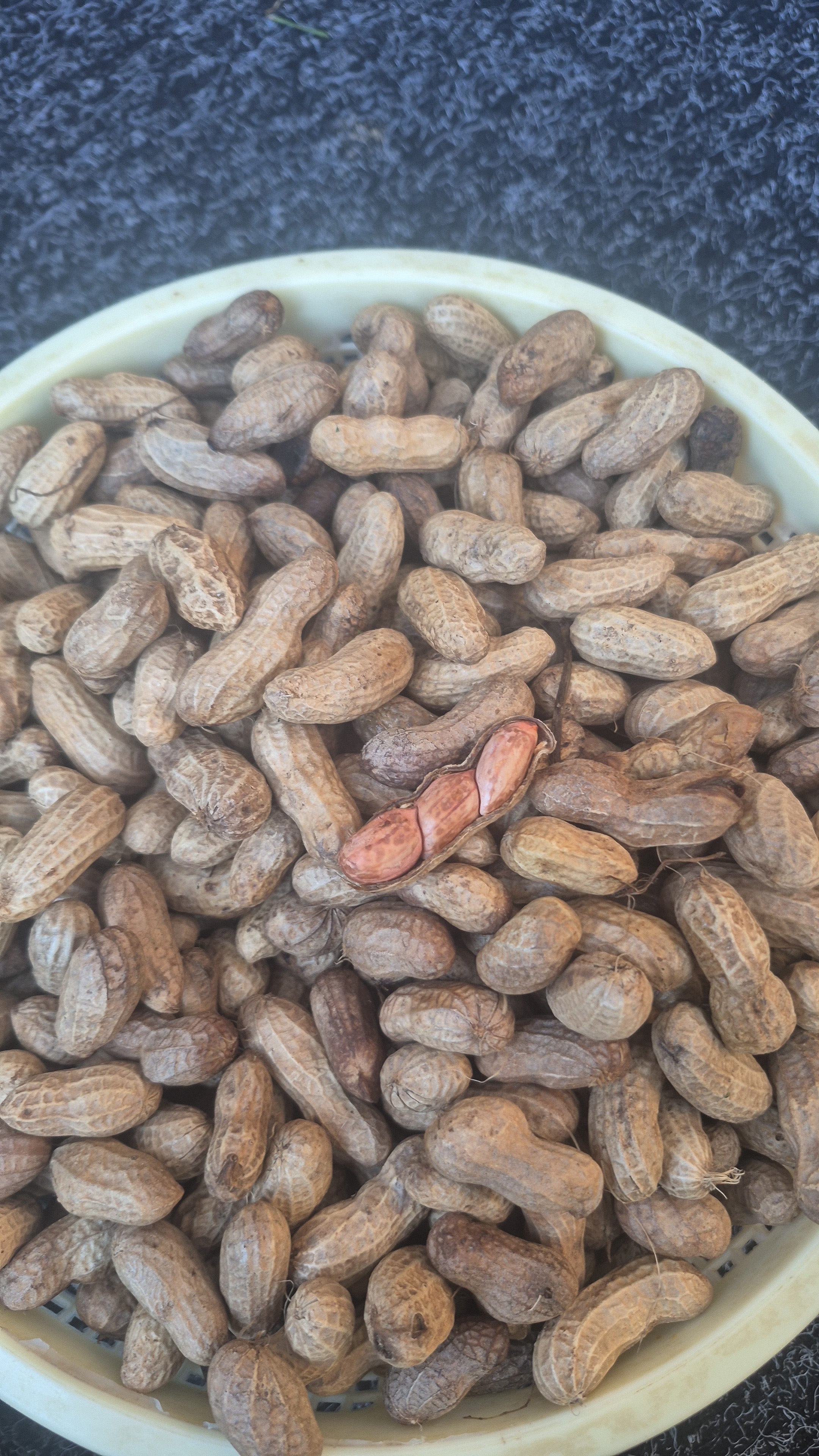 Arrachide frais sac de 10lbs