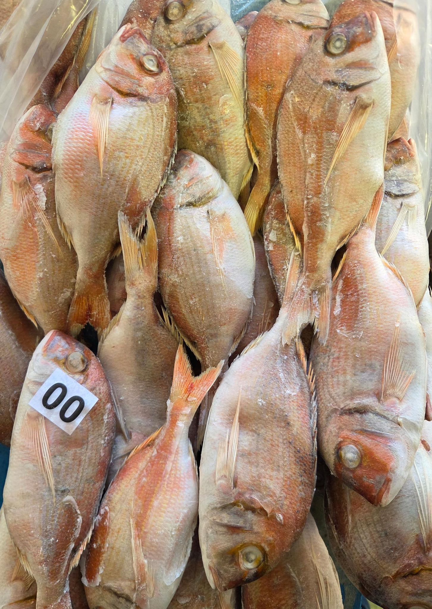 Poisson Dorade rose/ carton de 10kg