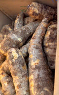 Macabo blanc du Cameroun/ carton de 10kg